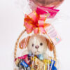 CESTA DE CHOCOLATE COM URSINHO DE CACHORRO